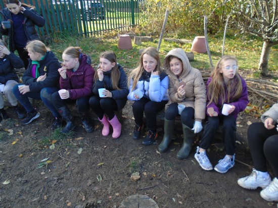 Wardley Primary School - Year 6 at Forest School